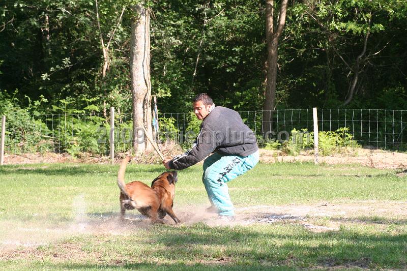 Twisty des Loups Mutins.jpg